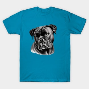 Cane Corso Dog T-Shirt